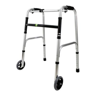 FZK-3427-5 TWO-IN-ONE WALKER